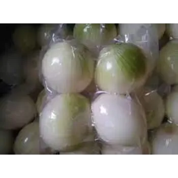 Frozen Onion frozen onion-4946585-7184.webp